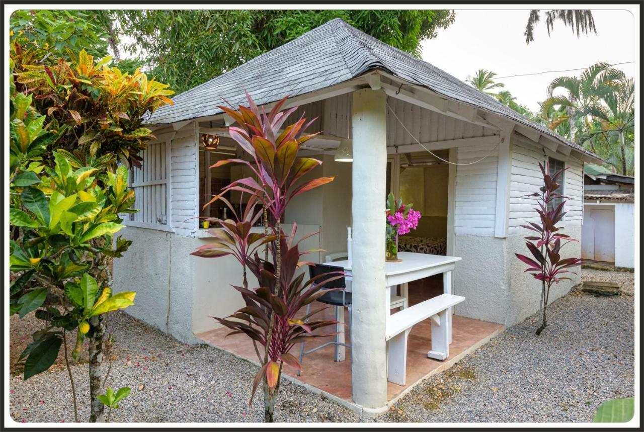 Residence San Ferreol Las Terrenas Eksteriør billede